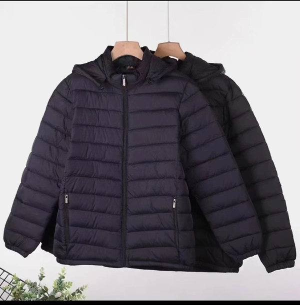 男士春秋冬季新款白鸭绒轻薄立领连帽休闲大码保暖外套